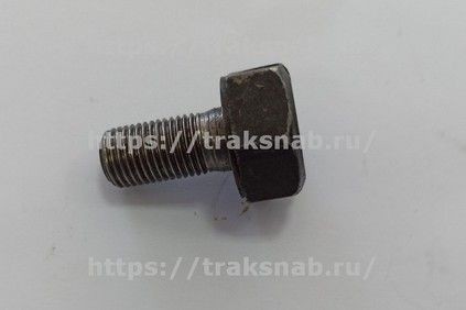 Болт распредвала — 1