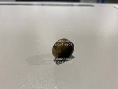 Заглушка головки блока Д-245