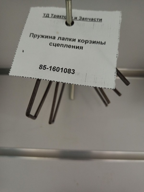 Пружина лапки корзины сцепления — 1