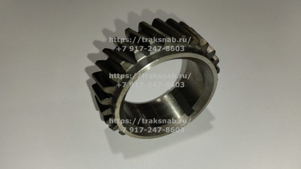 Шестерня к/вала задняя малая (27зуб.) Д-260(15гр ) — 4