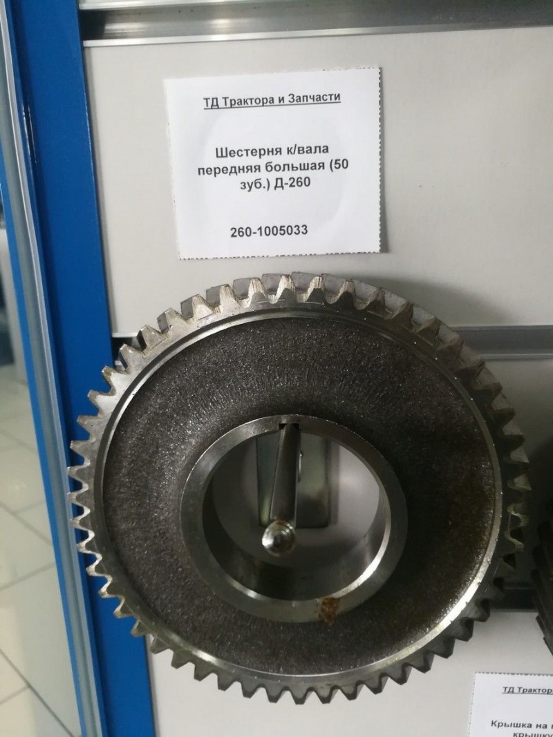 Шестерня к/вала передняя большая (50 зуб.) Д-260 — 1