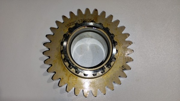 Шестерня первичного вала КПП МТЗ-1221/1523 31зуб. — 1