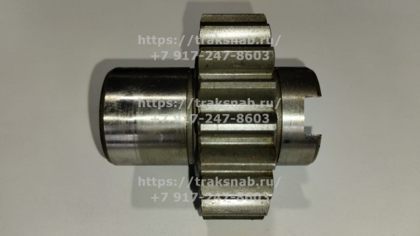 Шестерня переднего моста МТЗ-1221 20зуб. — 1