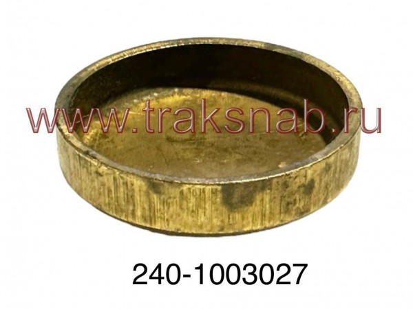 Заглушка головки блока 21г (латунь) — 2